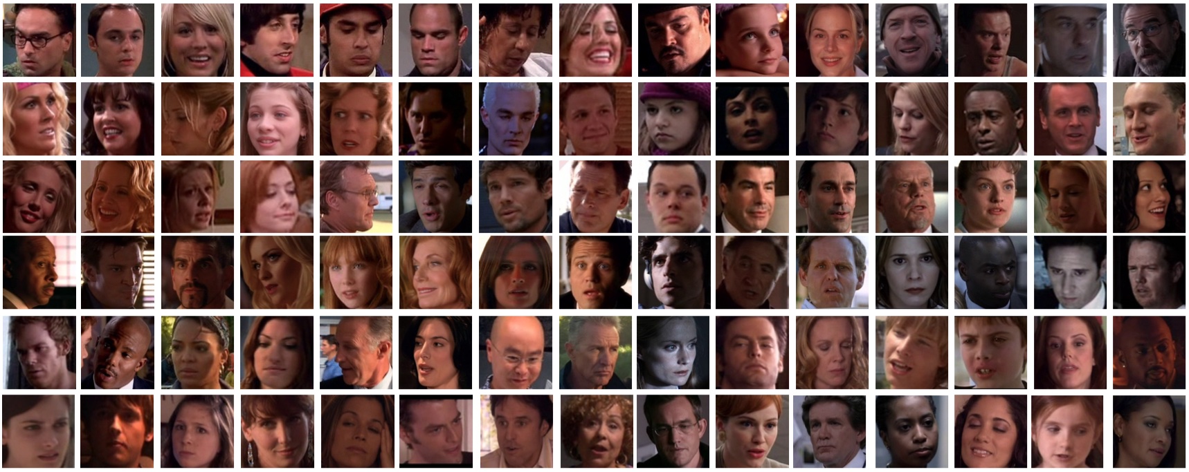 Examples of faces in TSFT dataset